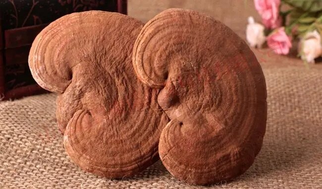 灵芝能补硒吗(灵芝药用价值)-硒宝网