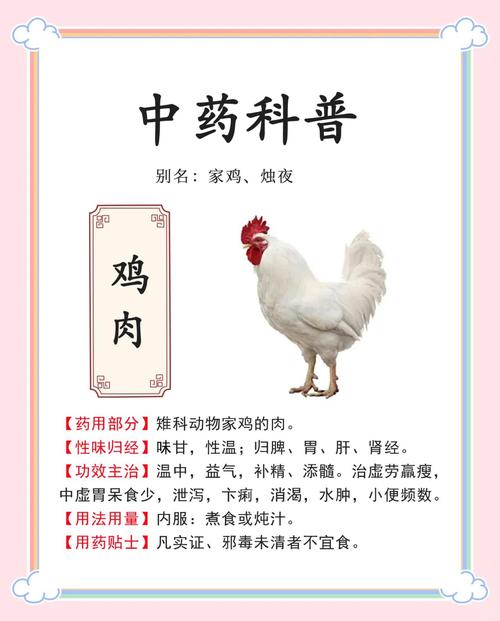 如何给鸡补硒（红枣富硒饲料改善鸡肉风味）-硒宝网