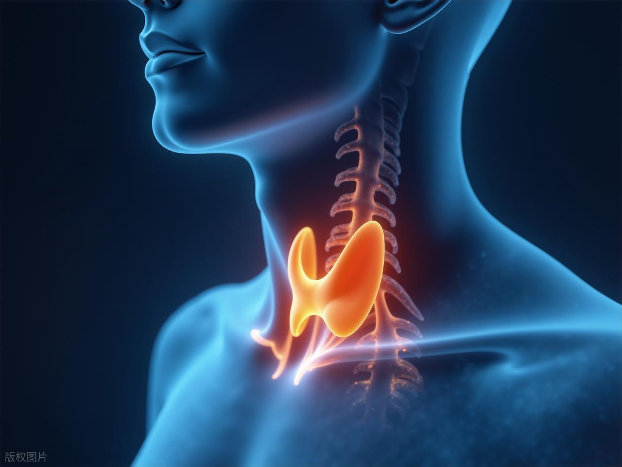 桥本备孕补硒(并非所有甲状腺问题都需要补碘)-硒宝网
