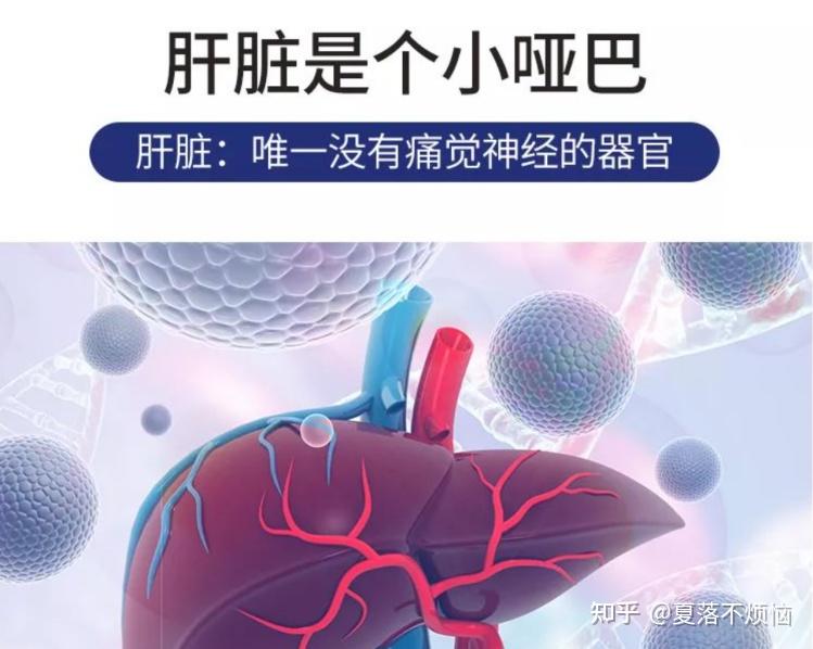 护肝补多少硒（护肝片成分选择）-硒宝网