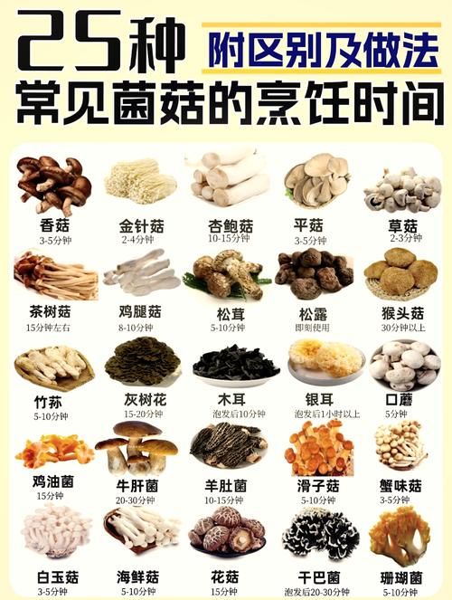 平菇如何补硒(平菇香菇杏鲍菇食谱)-硒宝网