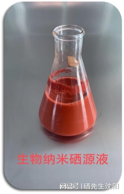 听专家说补硒(生物纳米硒安全性)-硒宝网