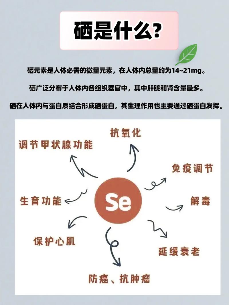 补硒是骗人的(硒维生素E抗氧化作用)-硒宝网