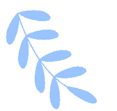 粗铅补硒工艺(硒的健康功效与作用)-硒宝网