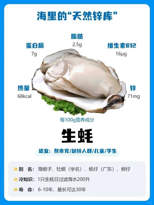 生蚝补硒含量(生蚝的功效与作用)-硒宝网
