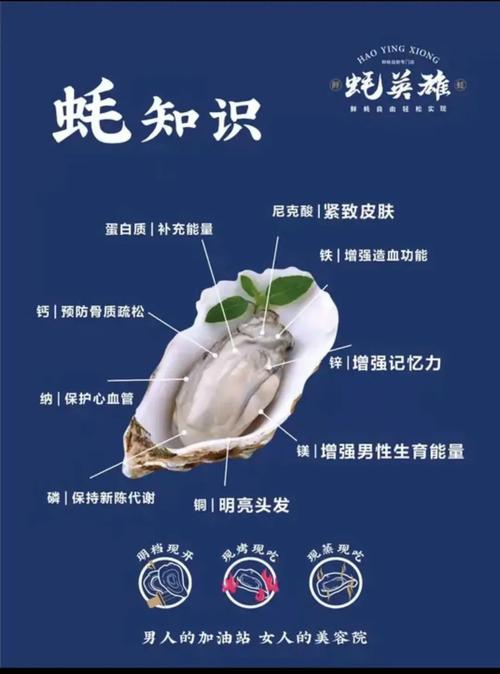 生蚝补硒含量(生蚝的功效与作用)-硒宝网