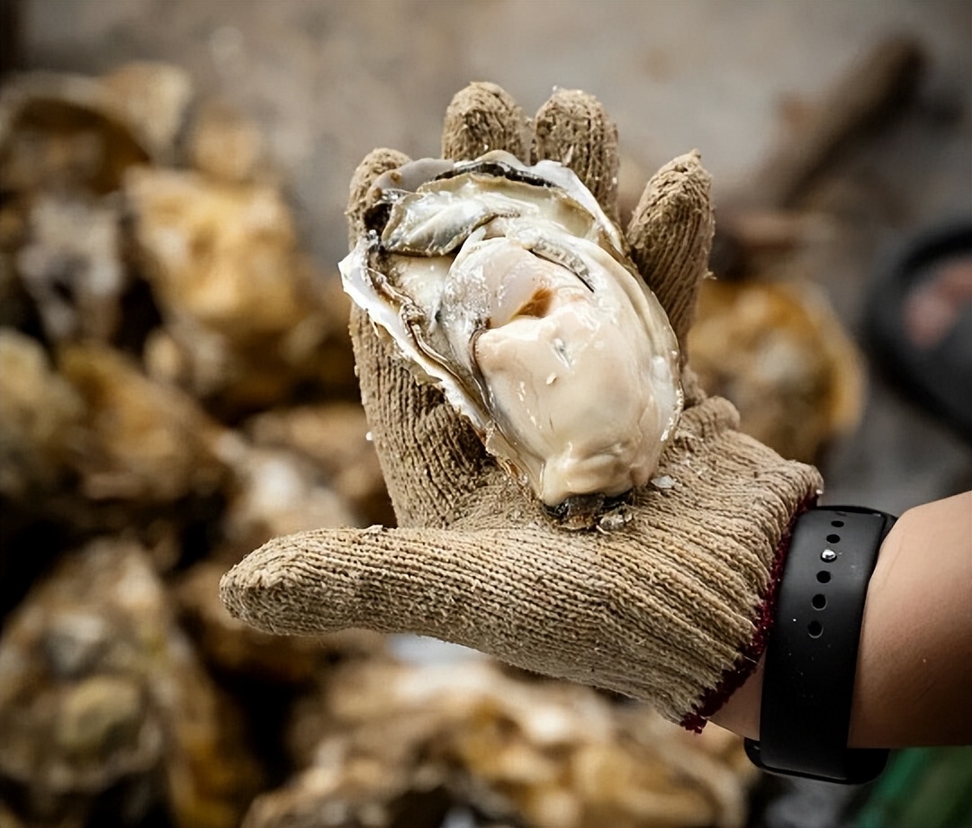 生蚝补锌补硒（牡蛎硒含量营养价值）-硒宝网