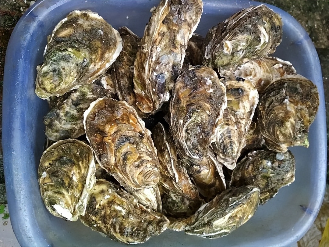 生蚝补锌补硒（牡蛎硒含量营养价值）-硒宝网