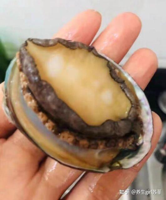 肾虚能补硒吗(黑色食物补肾)-硒宝网