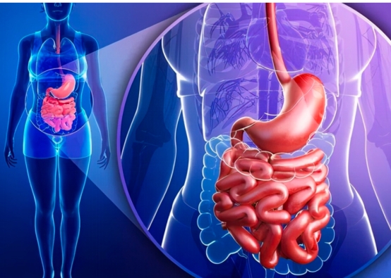 化疗后要补硒(缺硒的危害)-硒宝网
