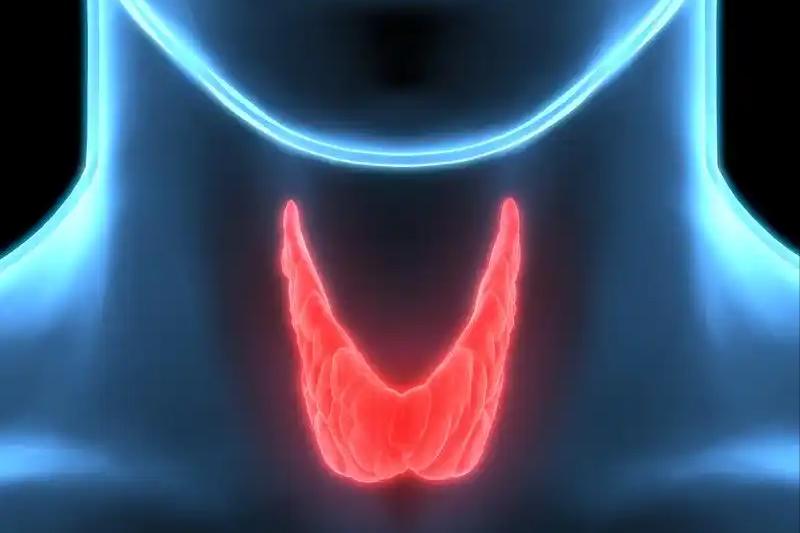 补硒能降糖吗(硒与甲状腺健康关系)-硒宝网