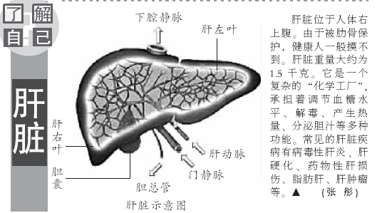 补硒与胆结石(肝脏与情绪关系)-硒宝网