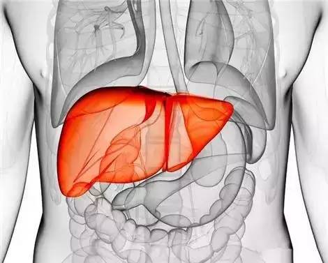 补硒与胆结石(肝脏与情绪关系)-硒宝网