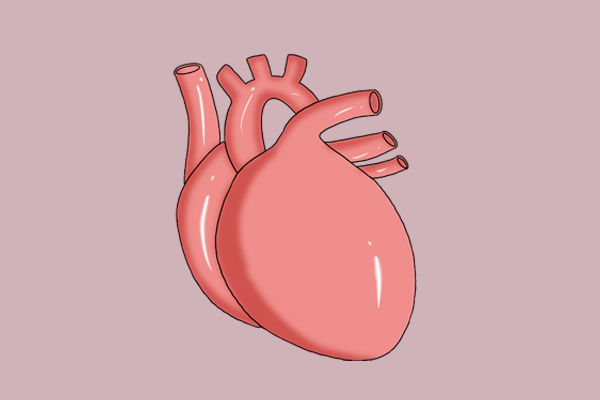 补硒锌吃什么(硒元素与抗衰老作用)-硒宝网