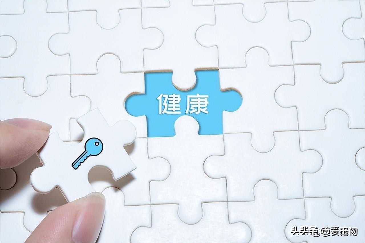 狗需要补硒吗(富含硒的食物推荐)-硒宝网