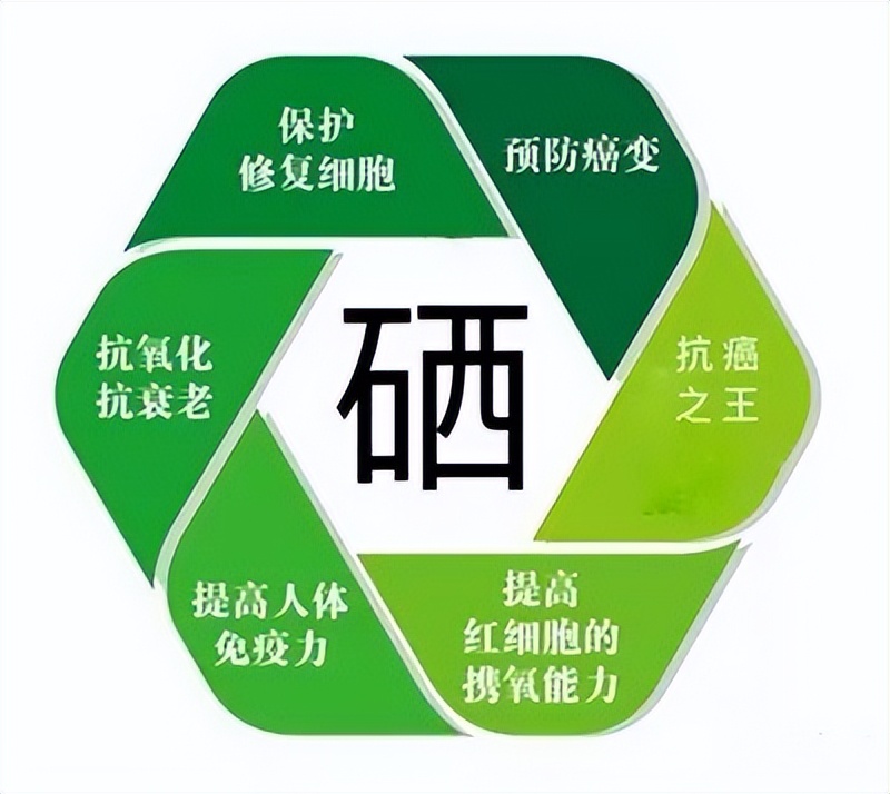 护肝如何补硒(硒含量高的食物)-硒宝网