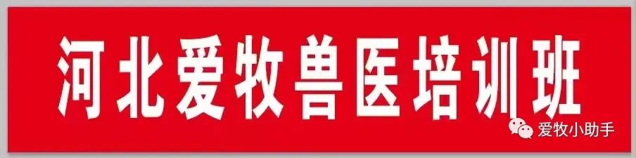 牛补硒的用量（?？笪镏嗜狈χ⒆醇霸し溃?硒宝网