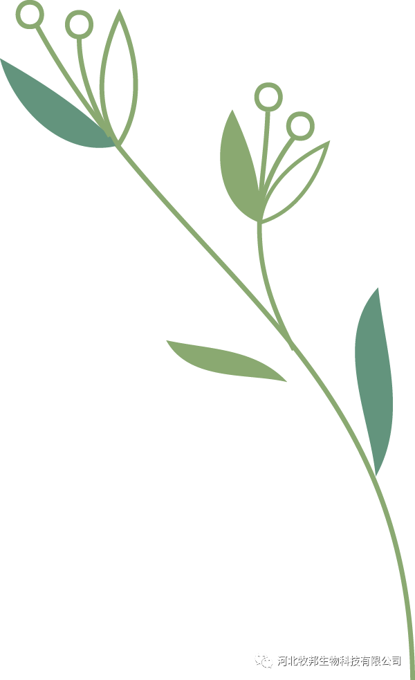 牛补硒的用量（牛矿物质缺乏症状及预防）-硒宝网