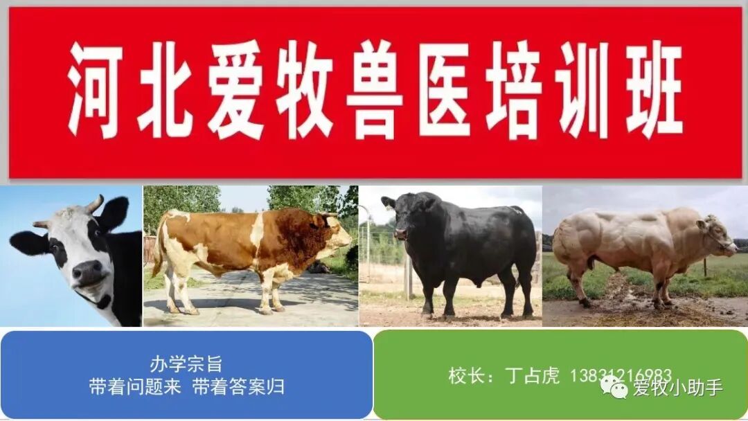 牛补硒的用量（?？笪镏嗜狈χ⒆醇霸し溃?硒宝网