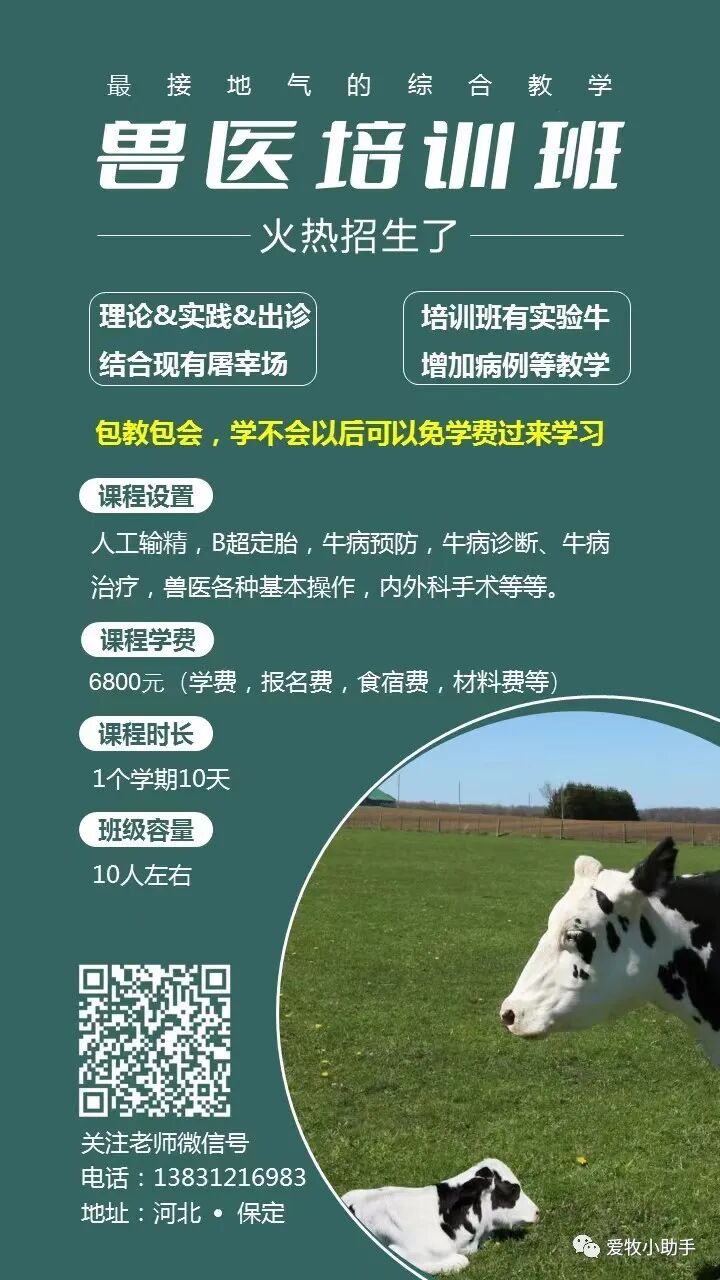 牛补硒的用量（牛矿物质缺乏症状及预防）-硒宝网