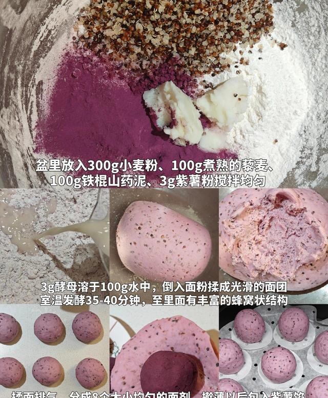 狗需要补硒吗（）-硒宝网