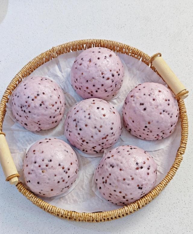 狗需要补硒吗（）-硒宝网