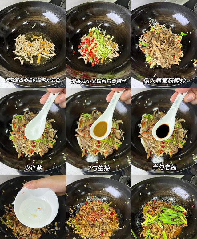 狗需要补硒吗（）-硒宝网