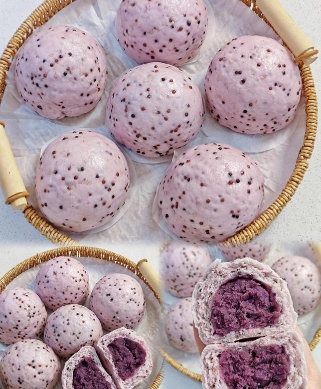 狗需要补硒吗（）-硒宝网