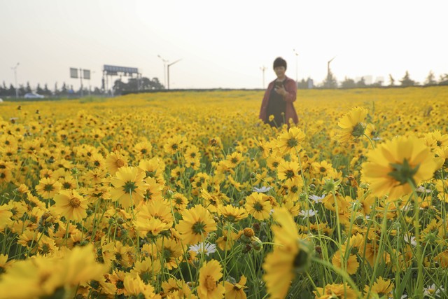 螃蟹能补硒吗(四款高硒美食推荐)-硒宝网