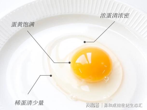 谁最需要补硒(富硒鸡蛋是否智商税)-硒宝网