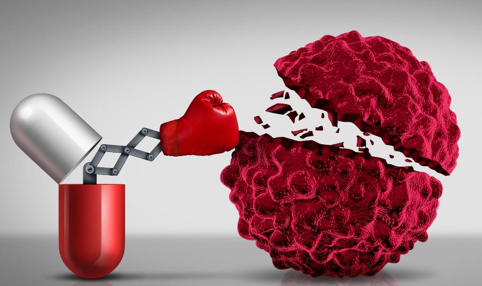 肺癌可补硒吗(天然硒库巴西坚果)-硒宝网