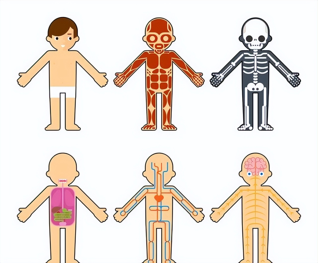 肺癌可补硒吗(硒与消化道癌症关系)-硒宝网