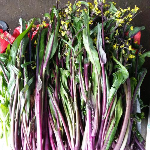 紫菜能补硒吗(红菜薹与洪山菜薹的区别)-硒宝网